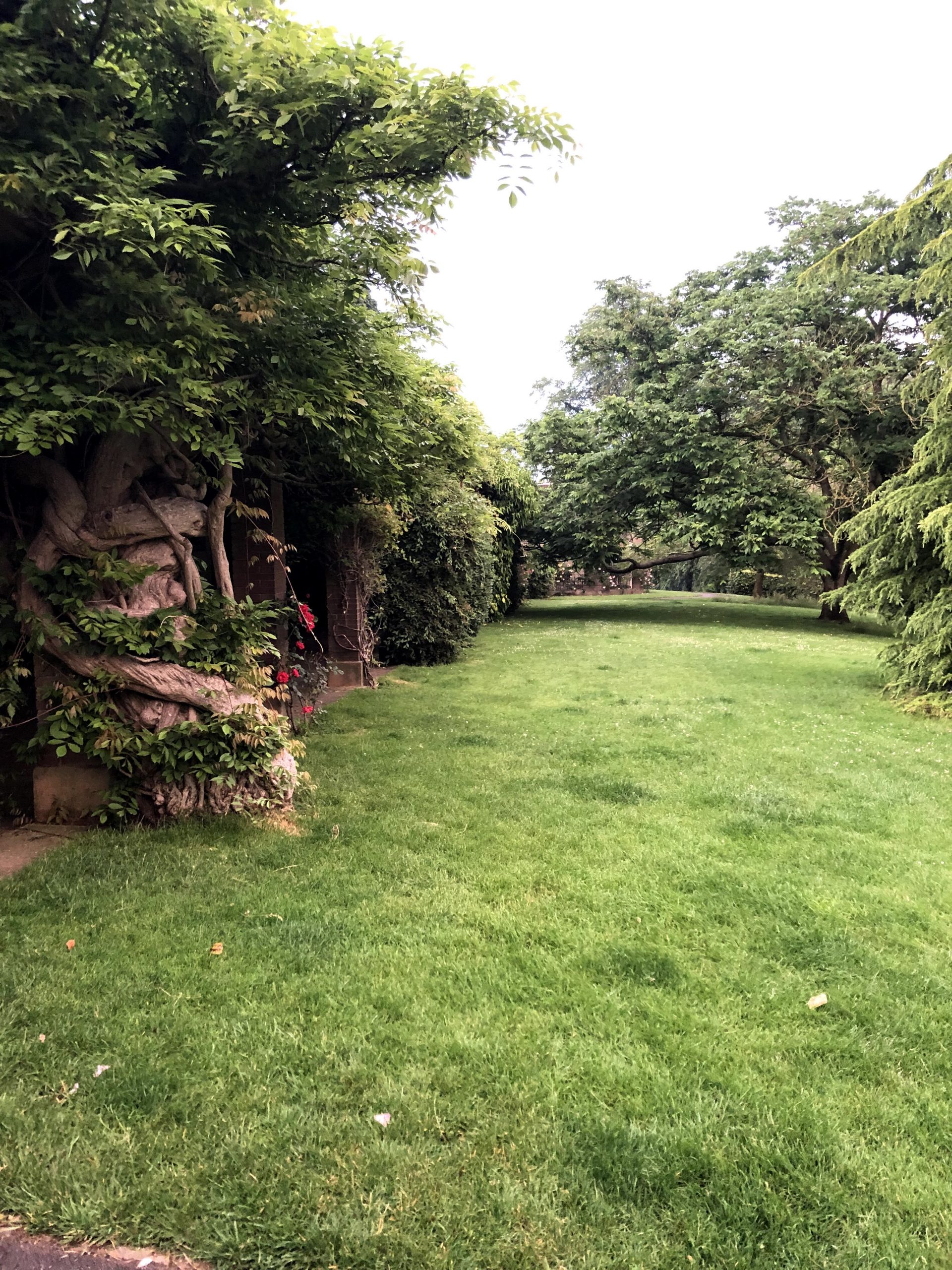 Vast gardens and green space at the Valley Gardens in Harrogate