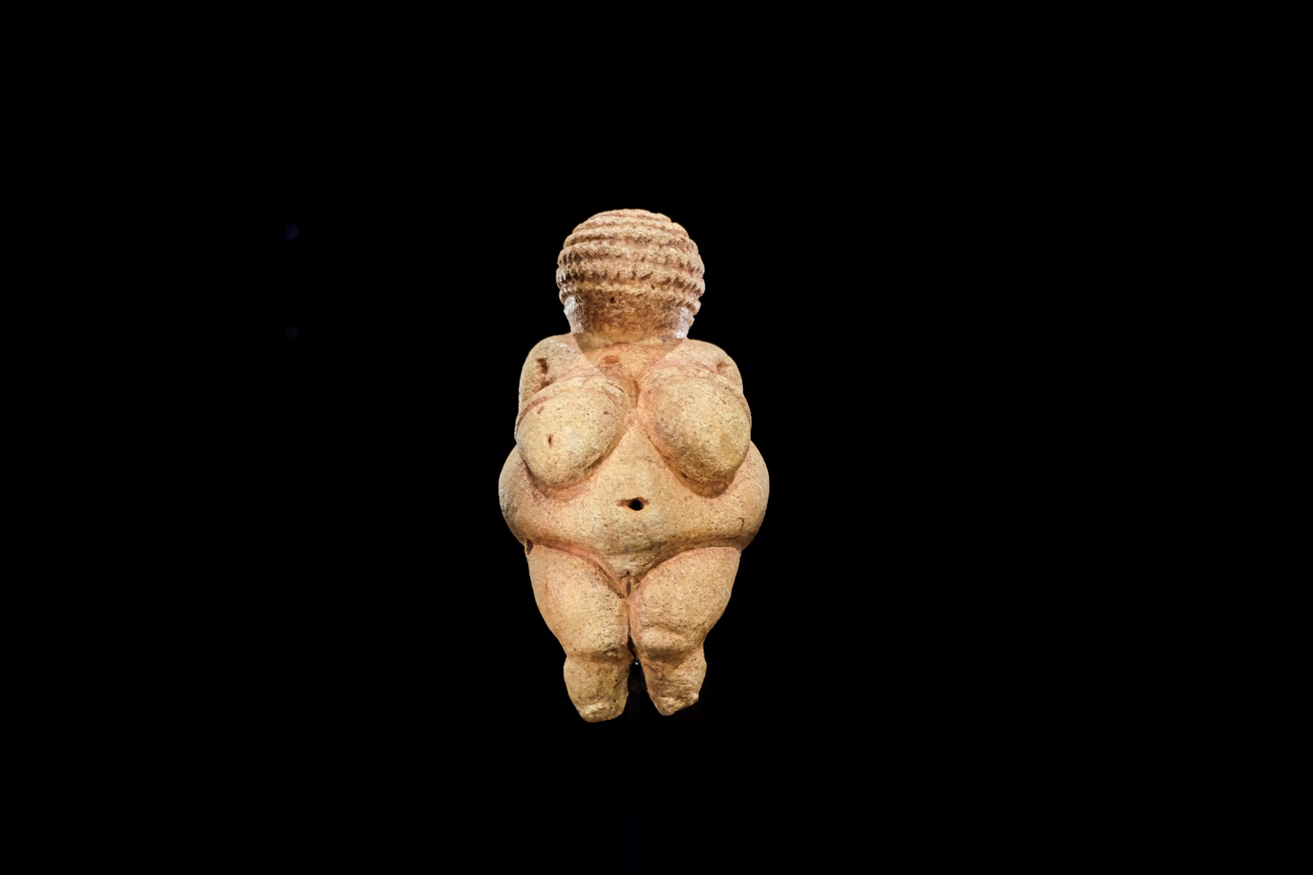 Venus Natural History Museum Vienna Venus Natural History Museum Vienna
