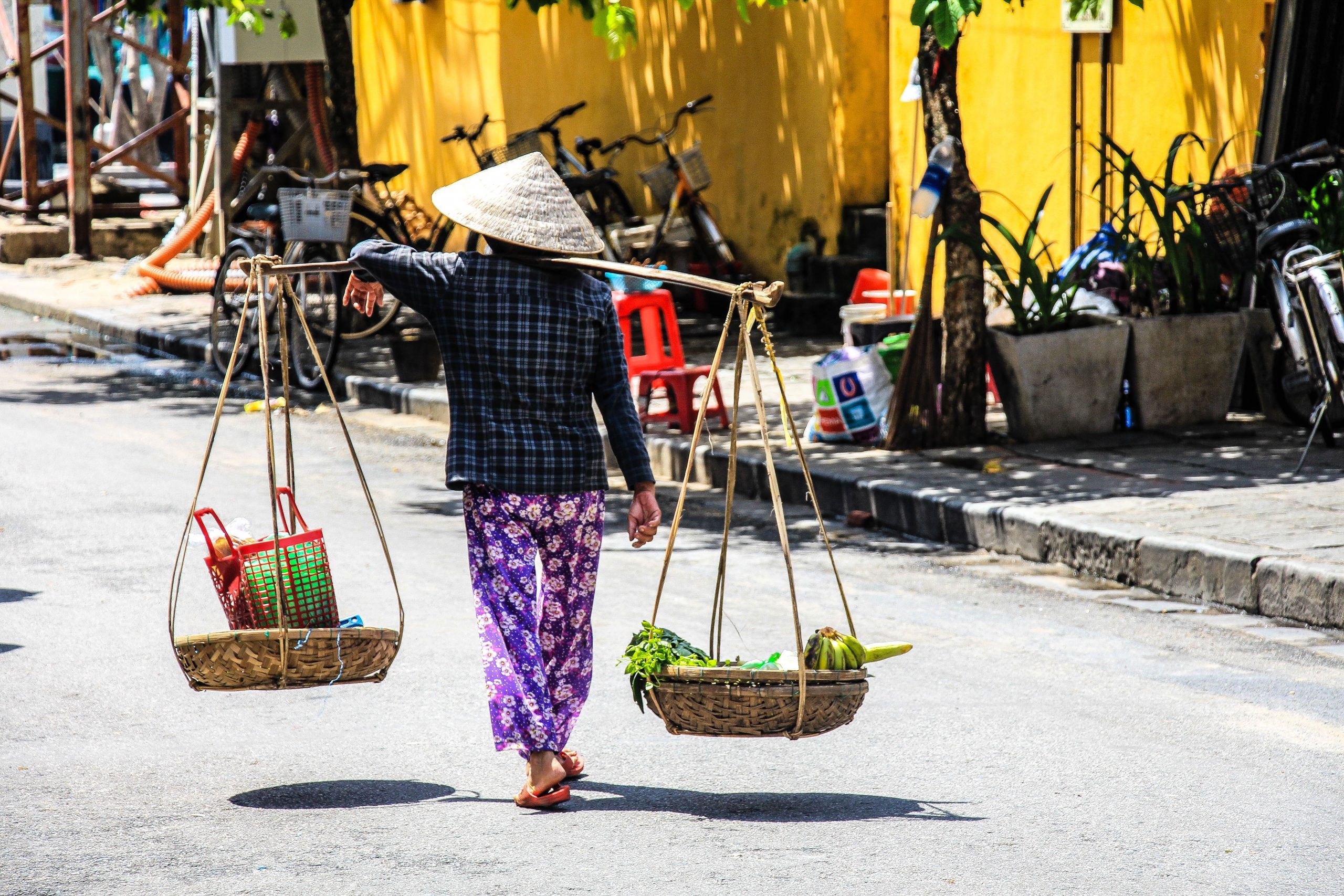 Vietnamese woman carrying products