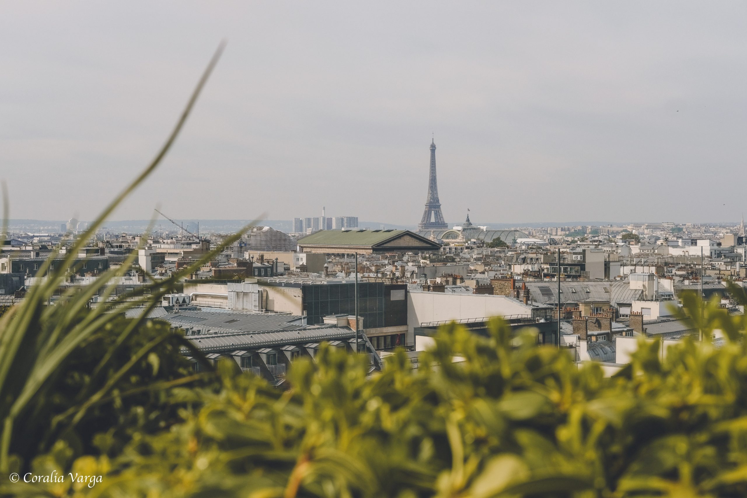 View from Galleries Lafayette