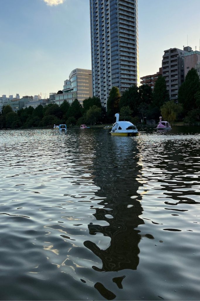 View from inside the boat on the Ueno pond