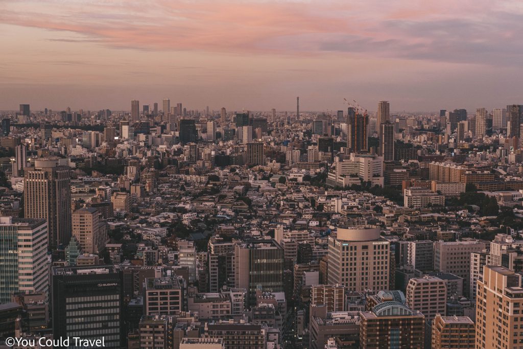 View of Tokyo from above