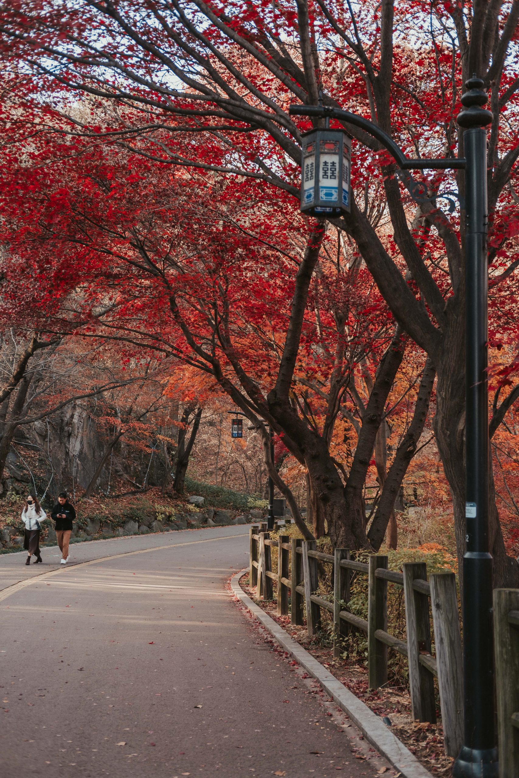 Views from Namsan Mountain Park