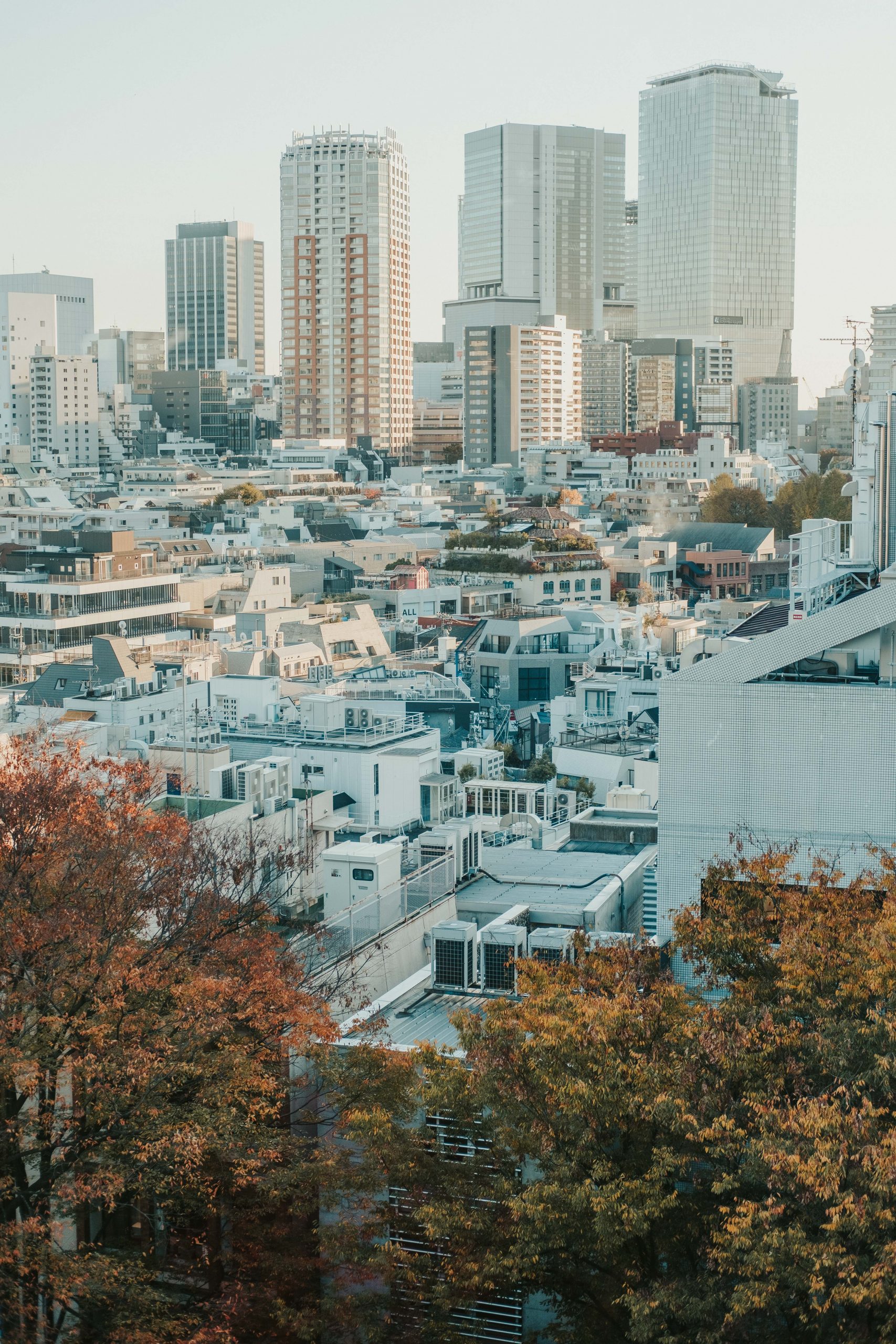 Views from Omohara Garden Tokyu Plaza