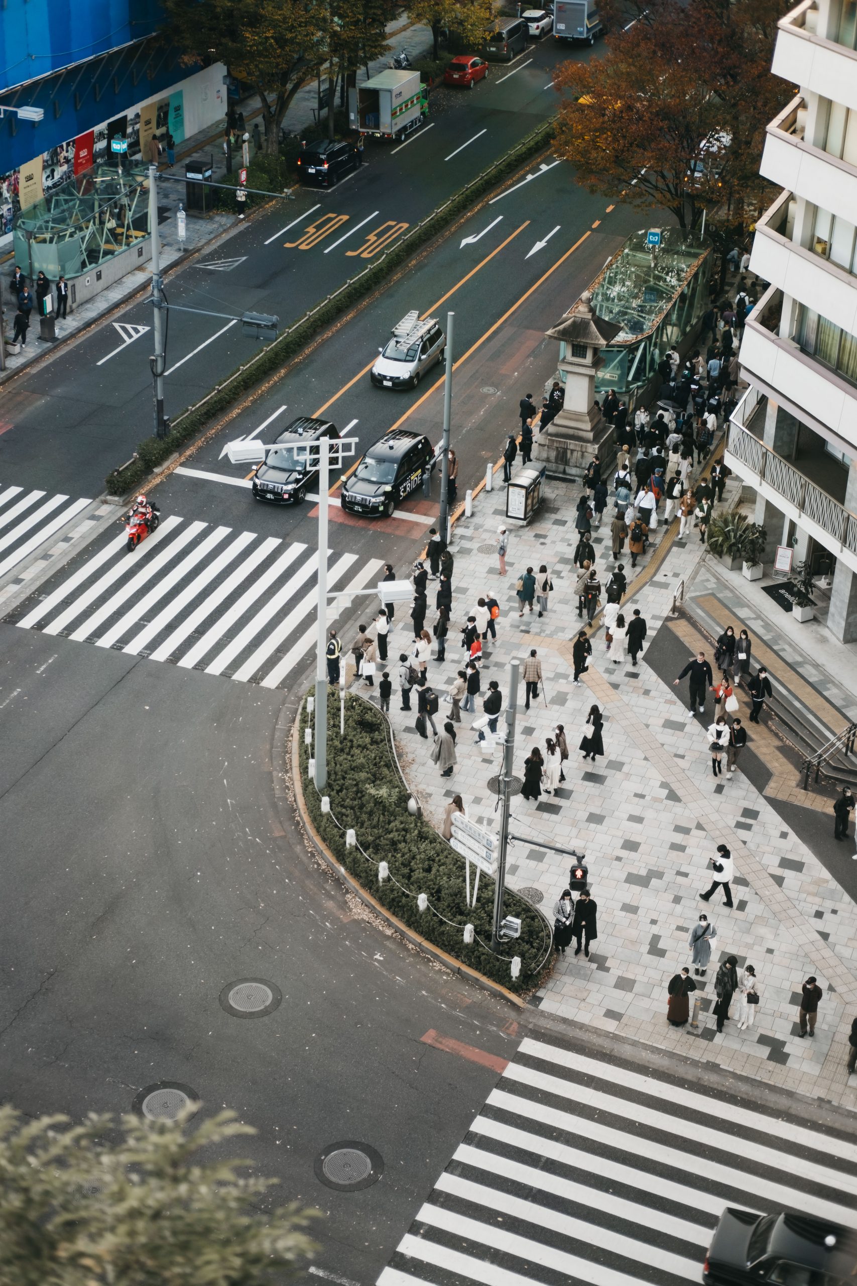 Views of Omotesando from Tokyu Plaza Omohara Forest