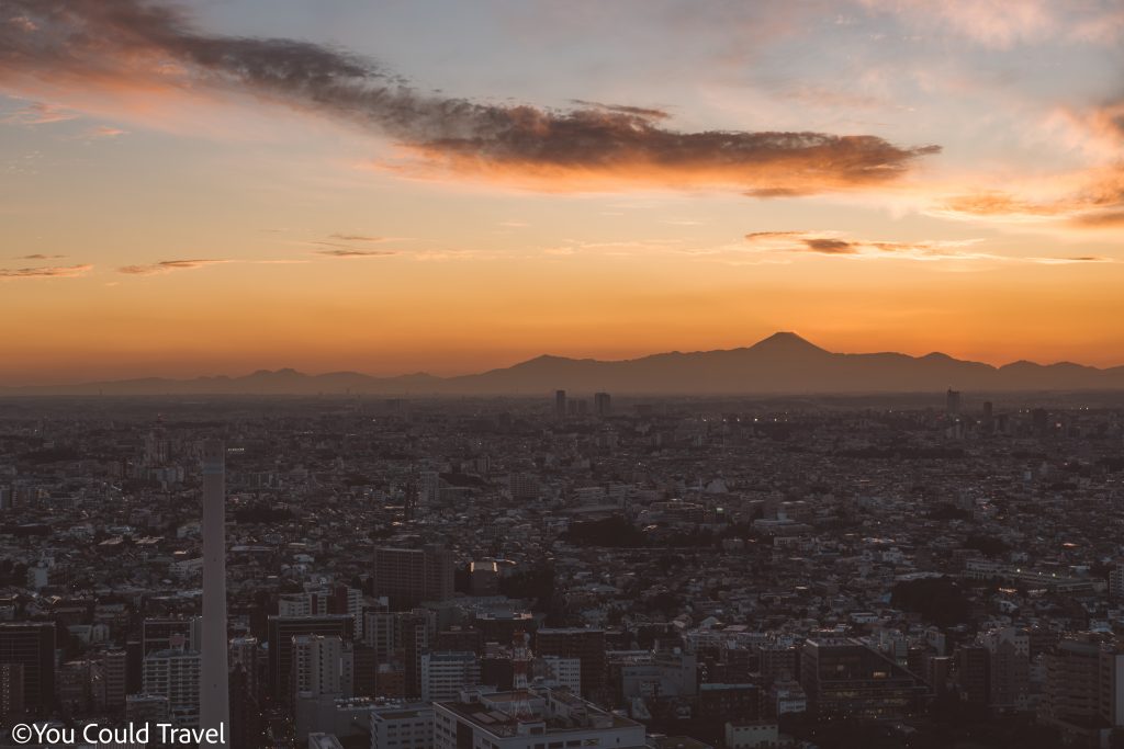 Views of Tokyo from Ebisu Sky Lounge and unobstructed views of Mount Fuji in the distance