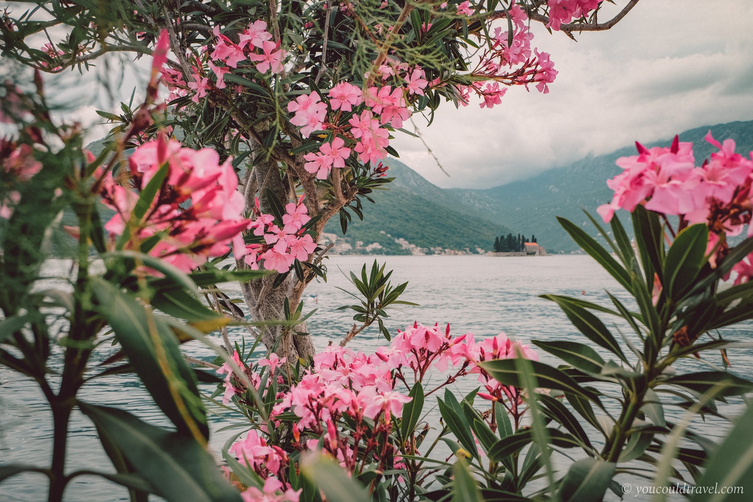 Visit Perast