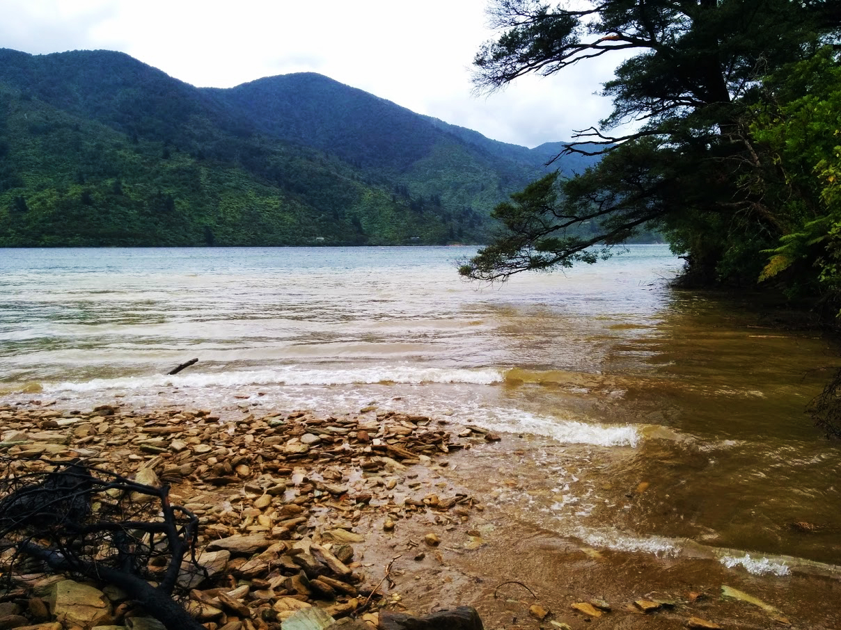 Water Queen Charlotte Track