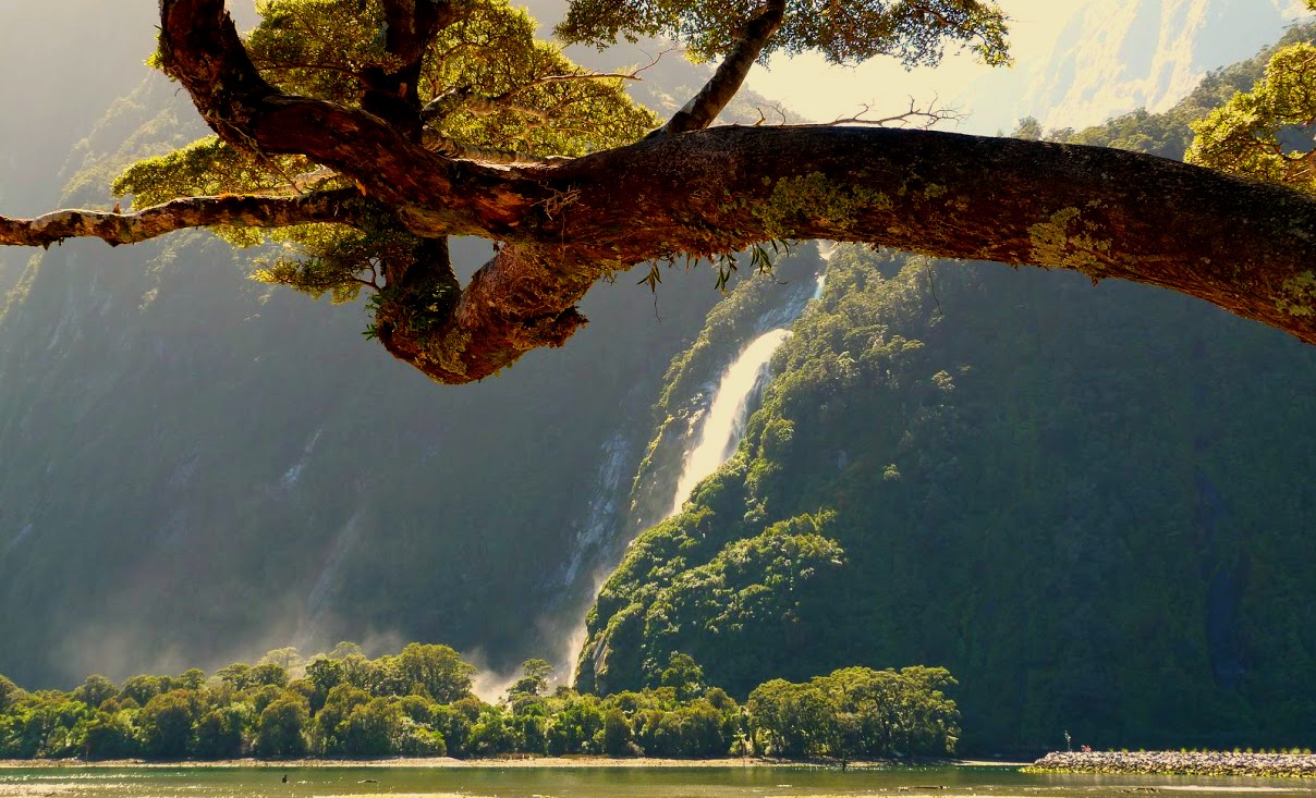 Waterfall Milford Sound