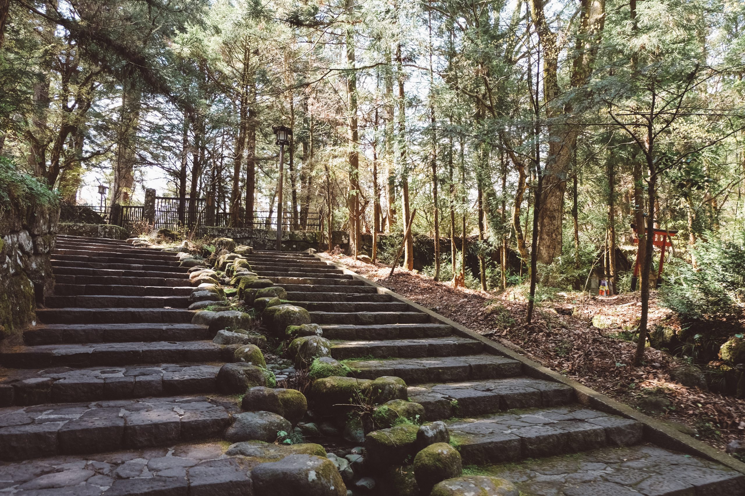 Walking up the stairs towards the Tōshō-Gū Shrine Nikko Japan