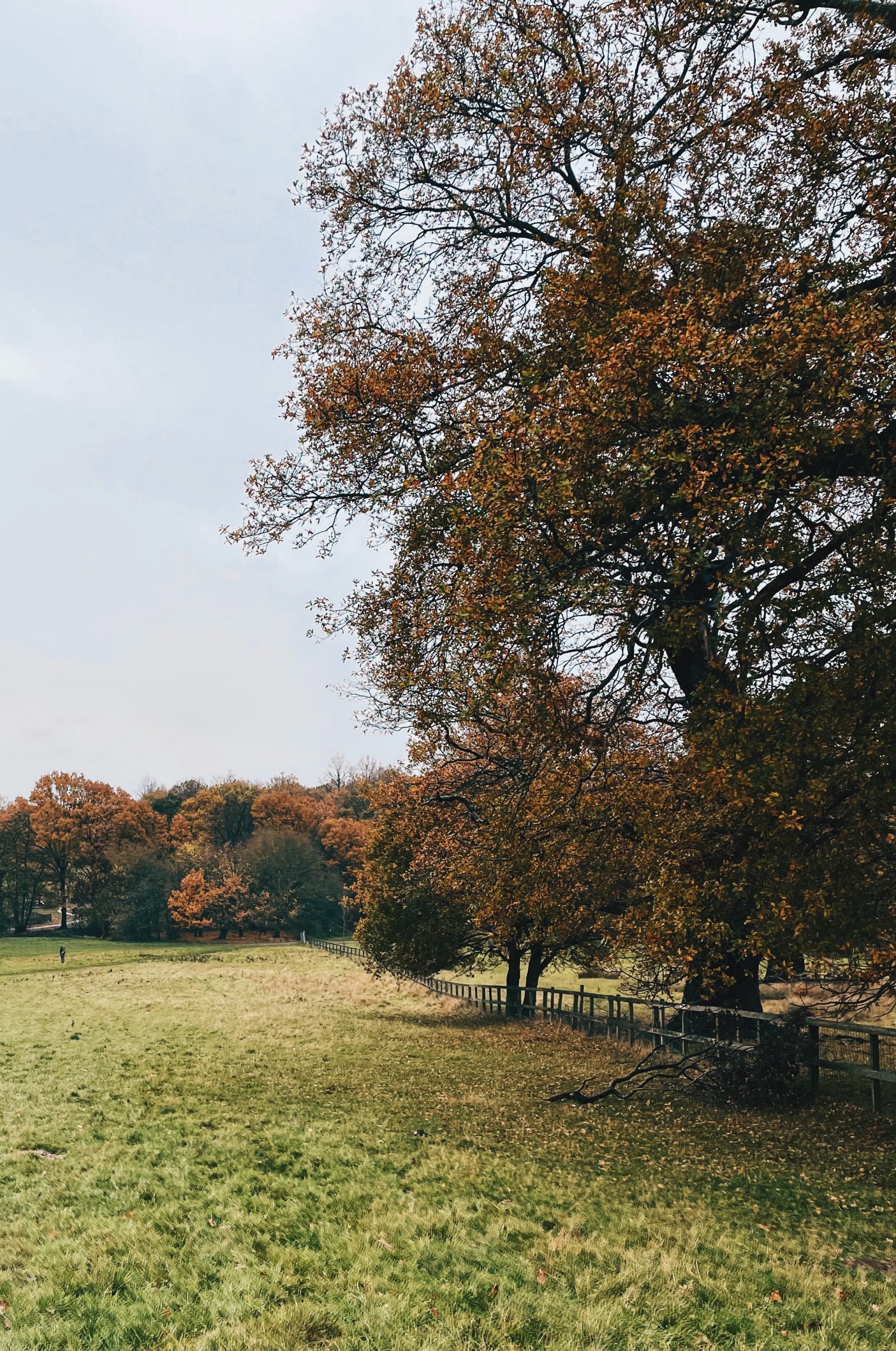 Weald Country Park in Essex