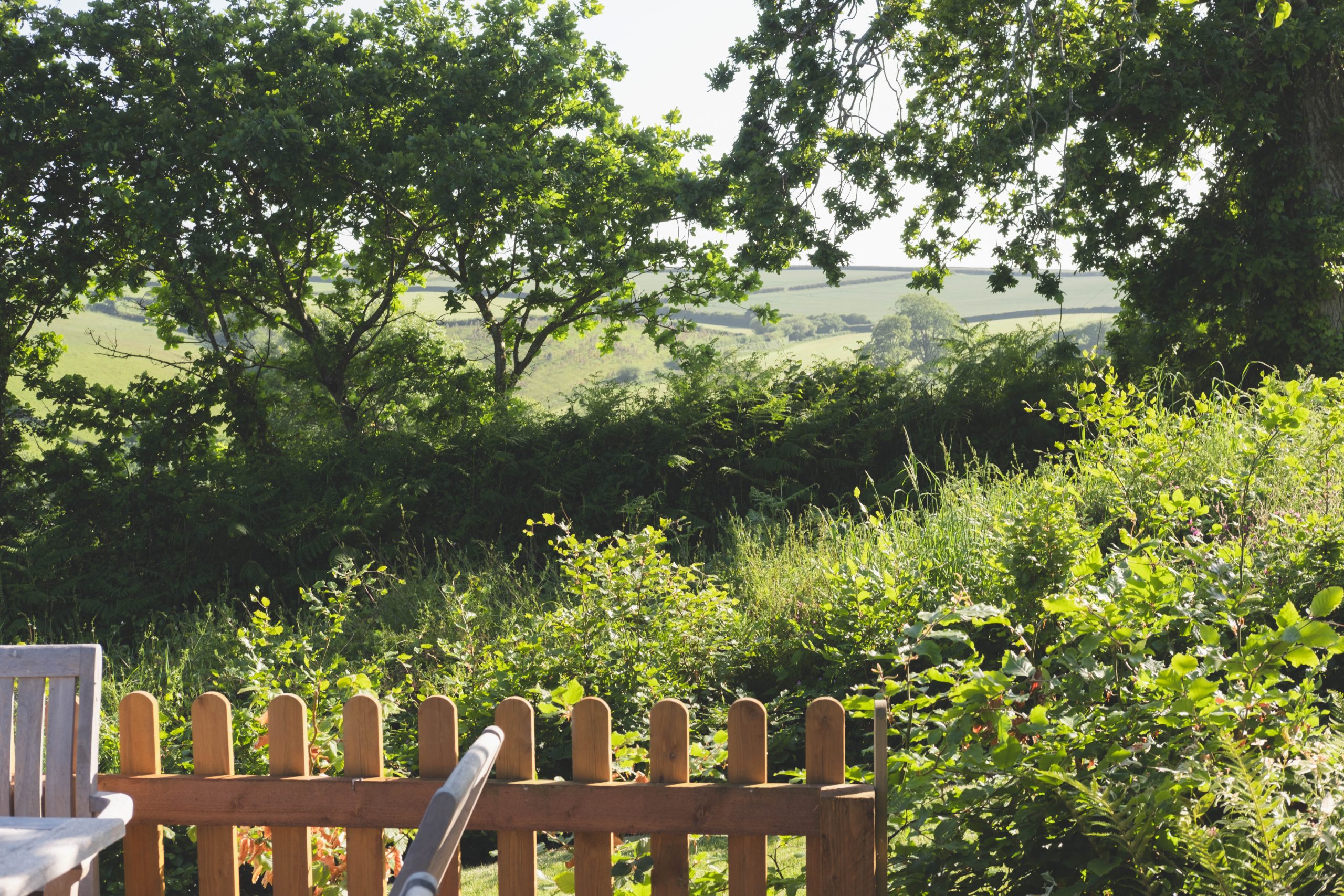 Where to stay in Devon - beautiful countryside at Bowden Wood Where to stay in Devon - beautiful countryside at Bowden Wood