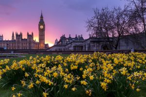 a beautiful picture of the UK Parliament in London on a spring day
