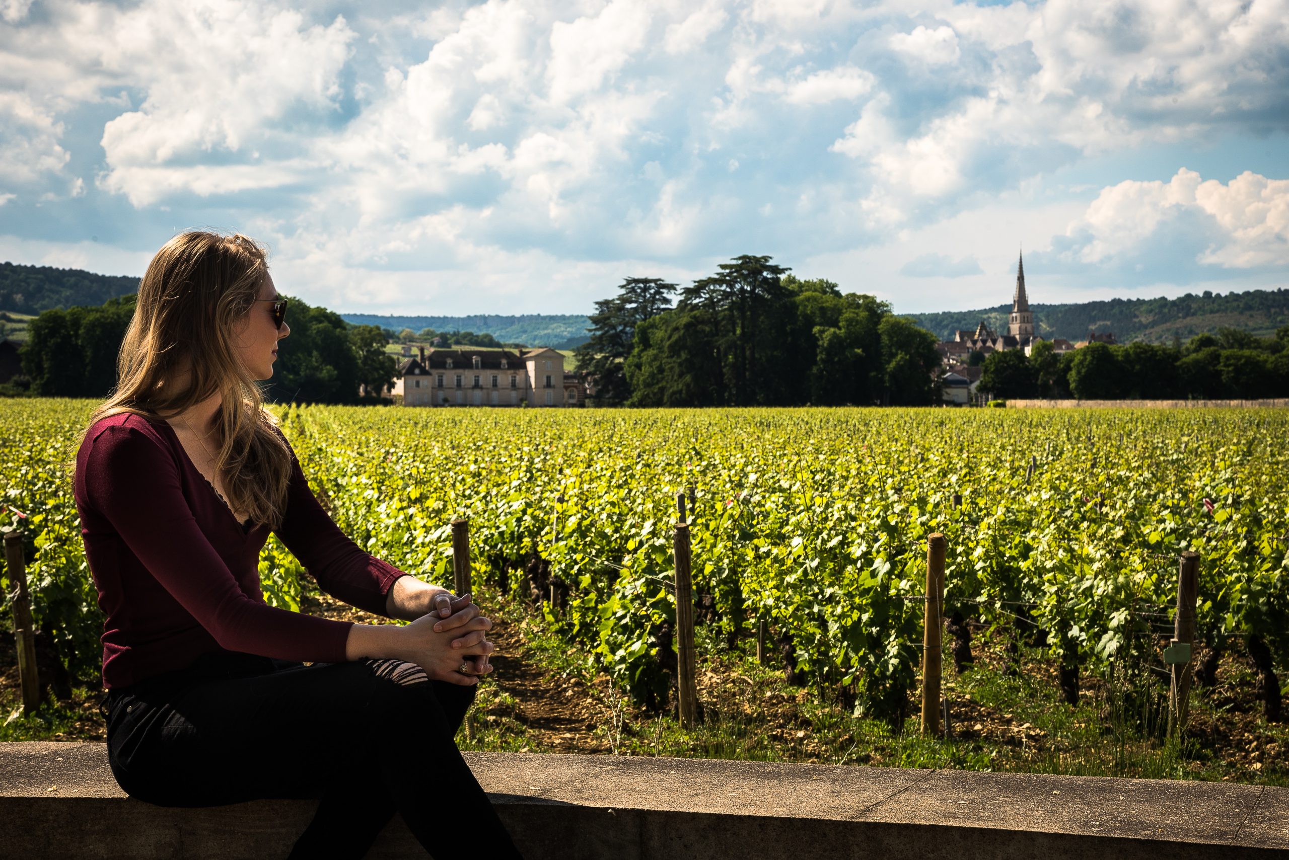 Wine Country in France Wine Country in France