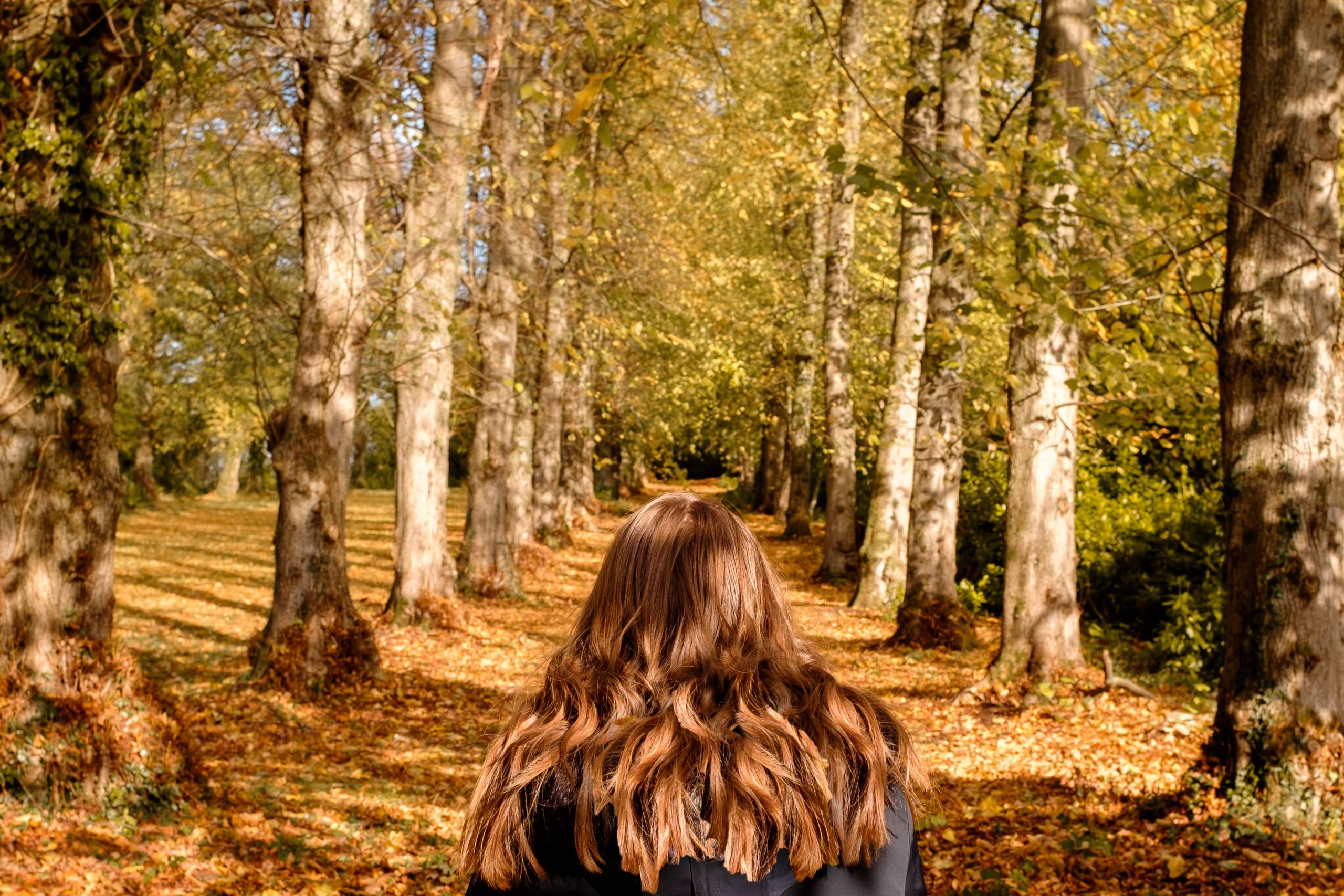 Woman enjoying the Pollok Country Park in Glasgow Woman enjoying the Pollok Country Park in Glasgow