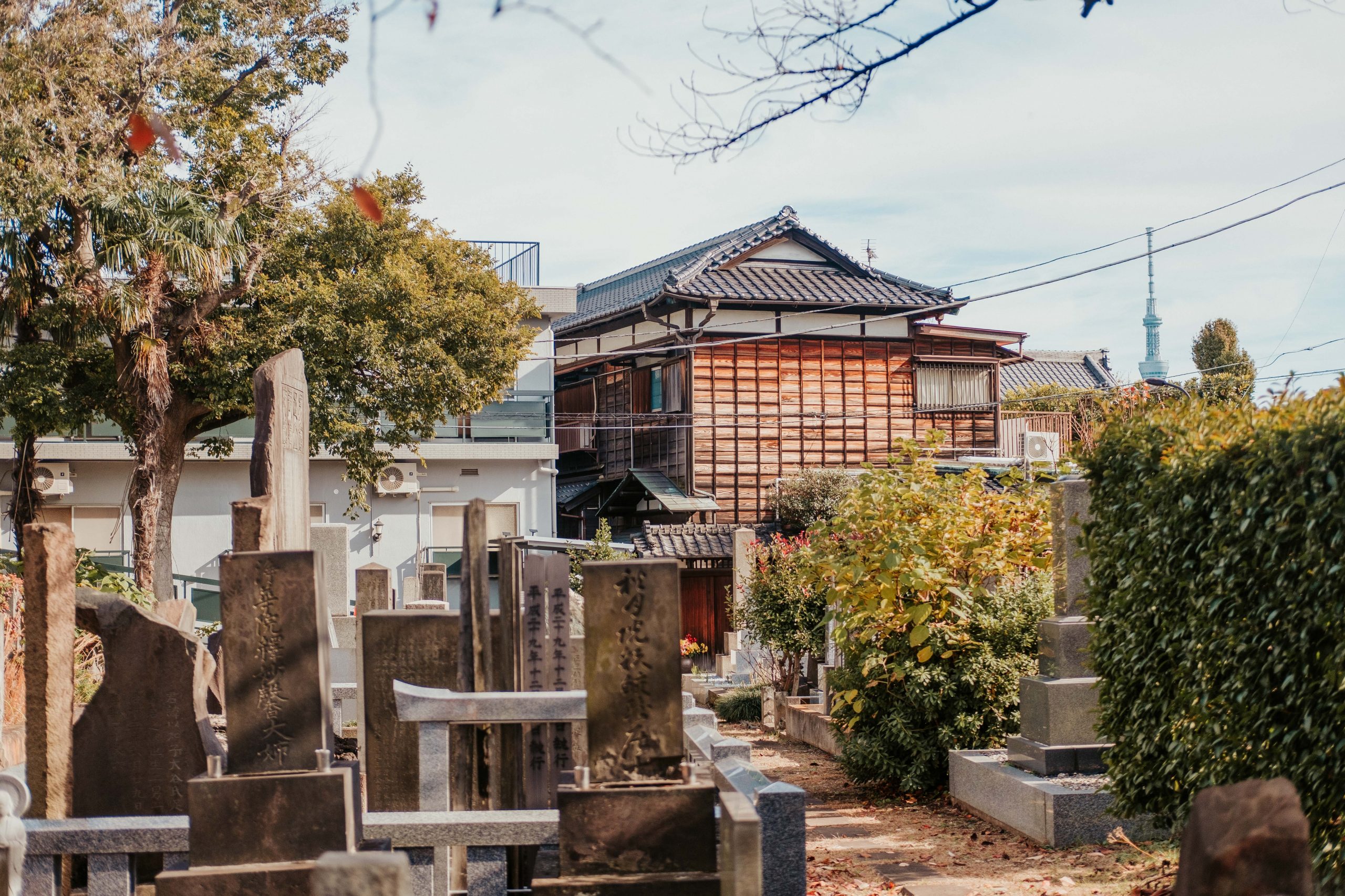 Yanaka Cemetry on a sunny day in Tokyo