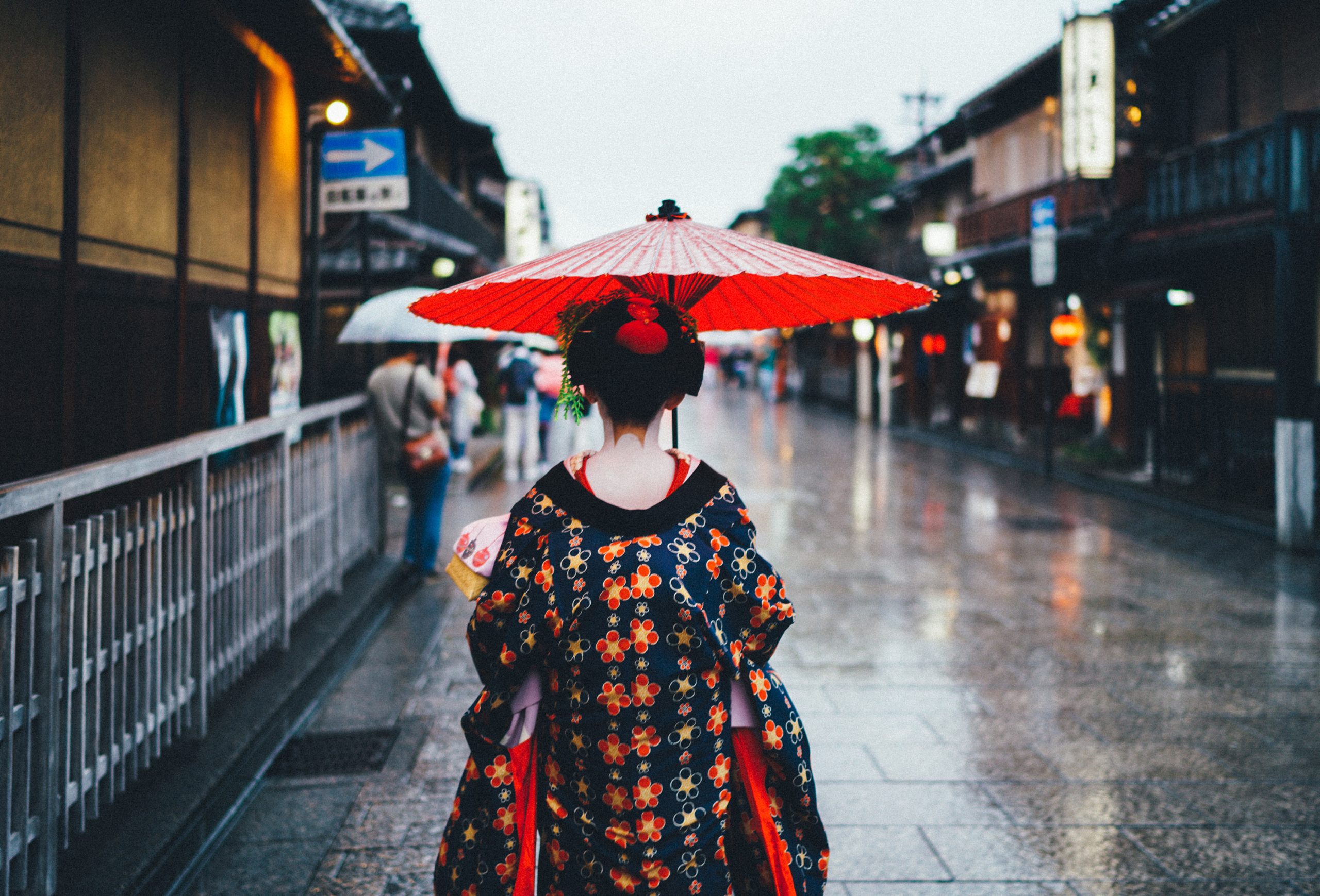 You Could Travel Geisha