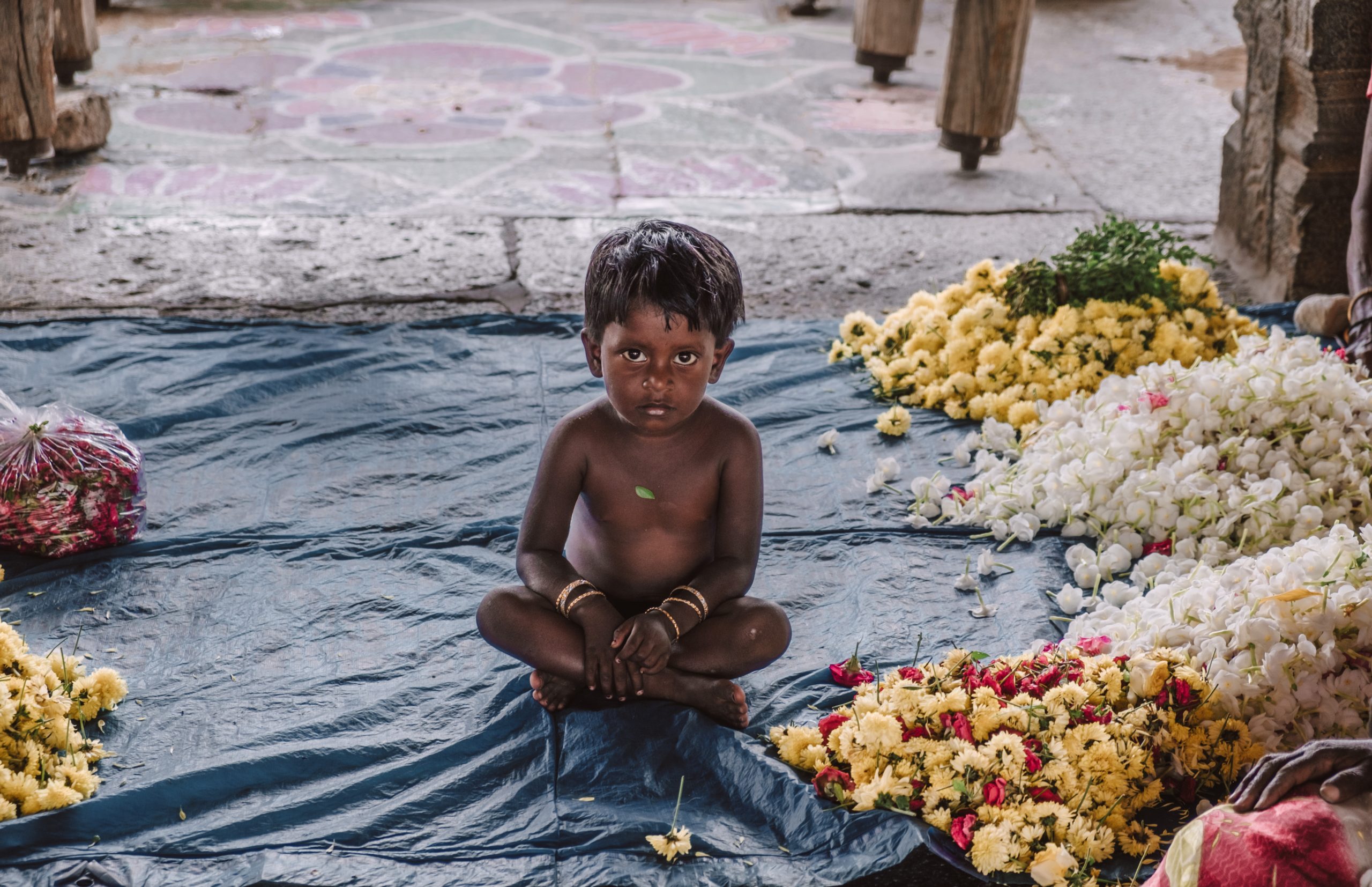 You Could Travel India Chennai You Could Travel India Chennai