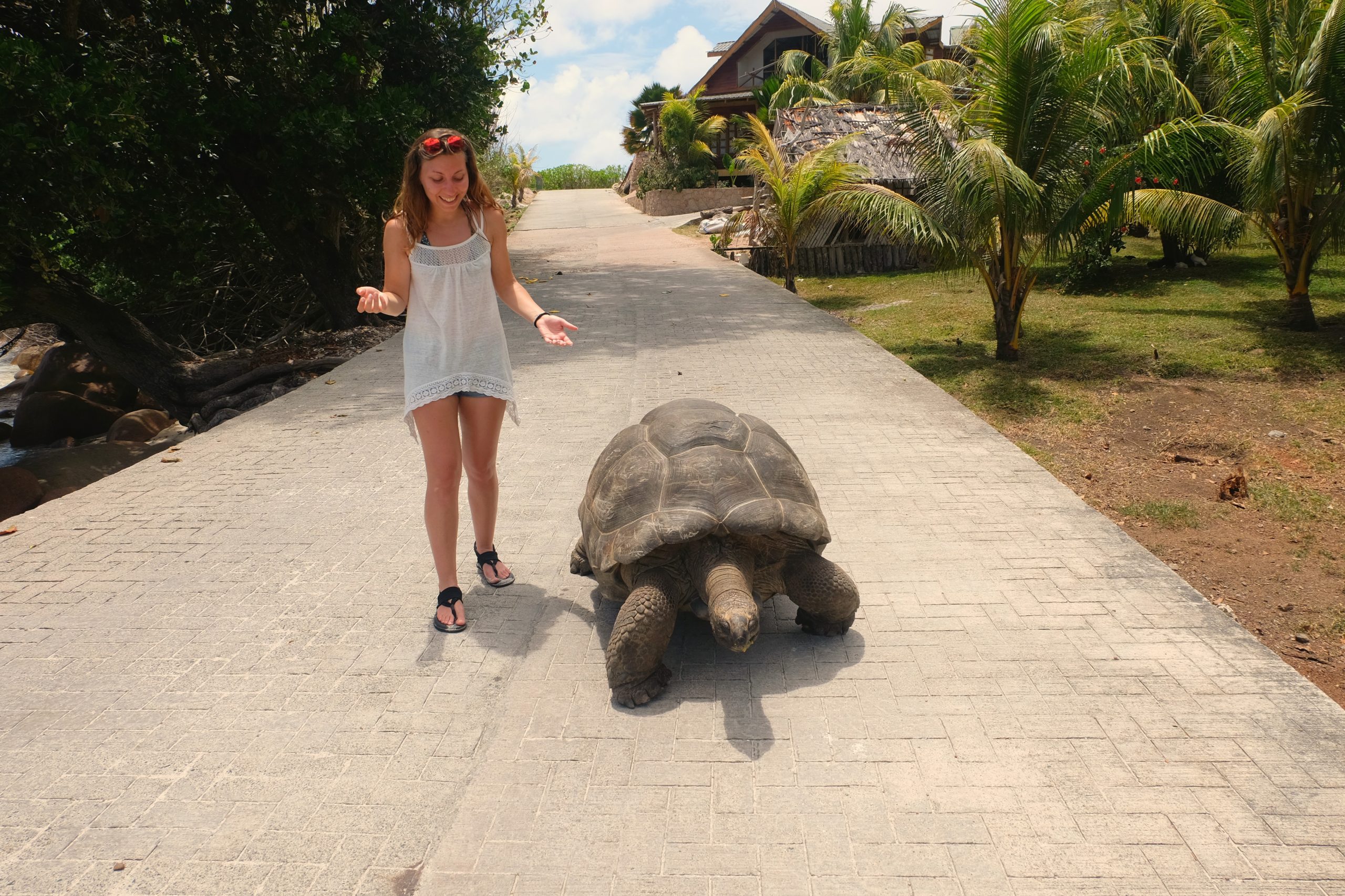 You Could Travel La Digue Seychelles