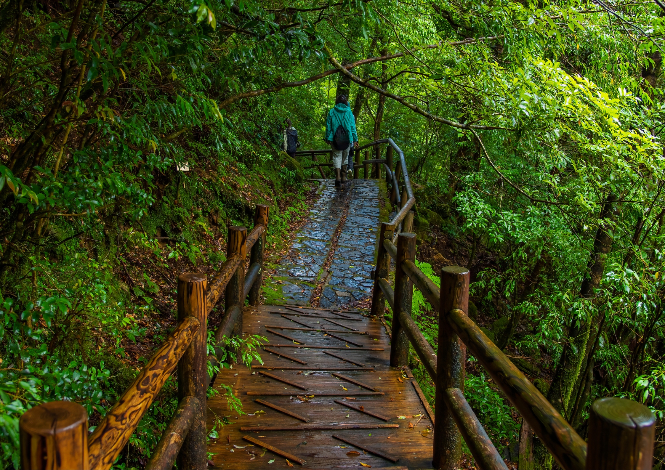 Yukushima island in Japan